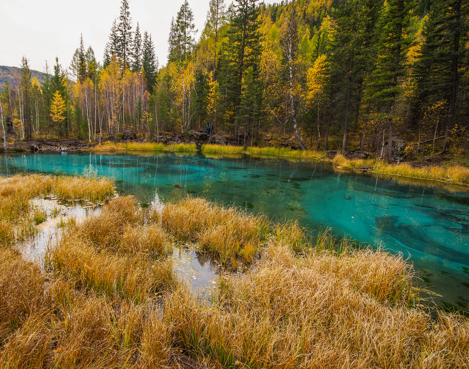 20 frames from Altai - My, Altai Republic, Michael, Travels, Holidays in Russia, Leisure, The photo, Siberia, Longpost