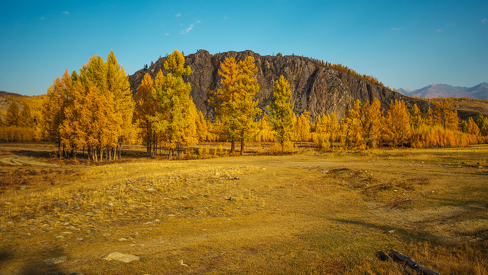 20 frames from Altai - My, Altai Republic, Michael, Travels, Holidays in Russia, Leisure, The photo, Siberia, Longpost