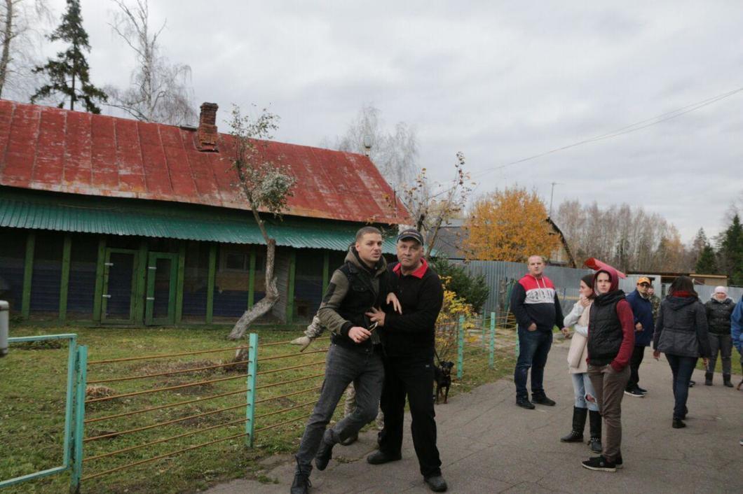 «Хватка с отрывом сразу горло» - Новости, Животные, Травля, Россия, Длиннопост