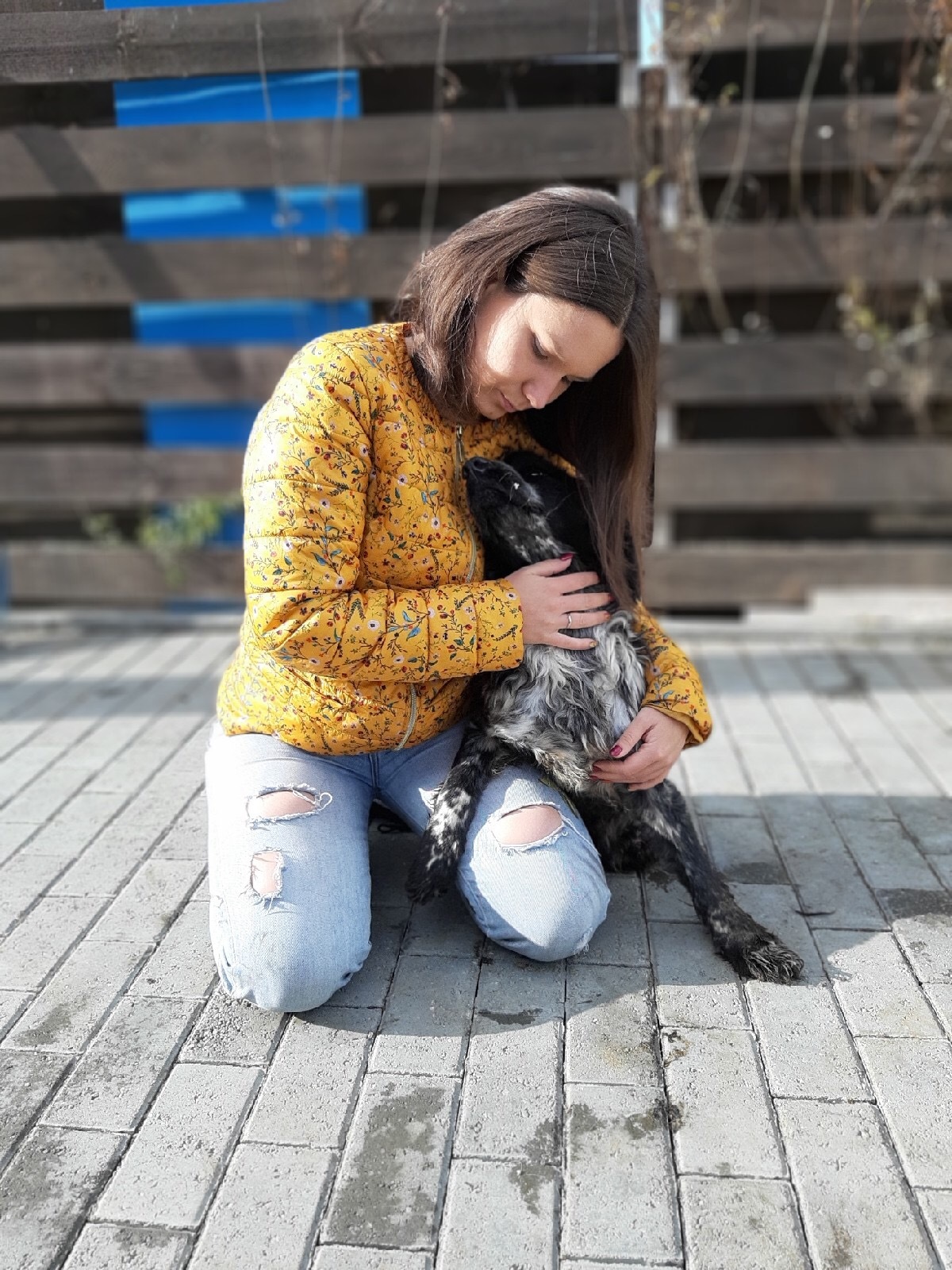 Chelyabinsk gives a second life to hopelessly sick animals - My, Dog, Help, Video, Longpost