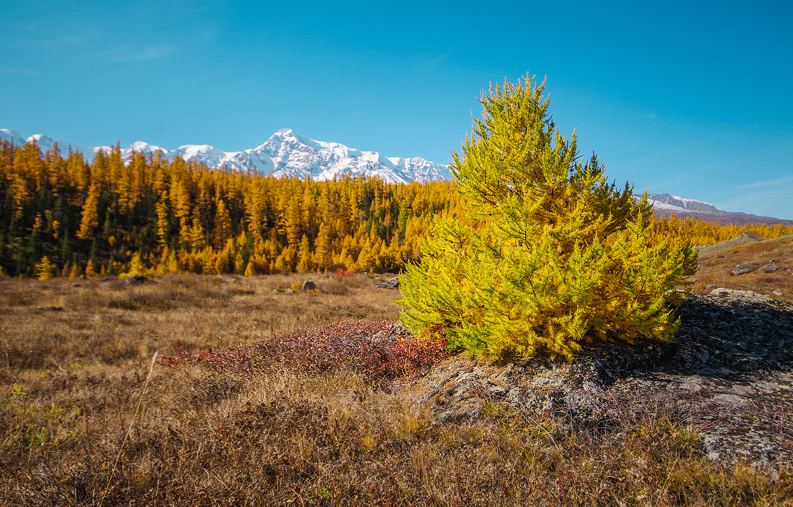 For the sake of sunrises - My, Altai Republic, Travels, Michael, Holidays in Russia, Leisure, The photo, Landscape, Longpost