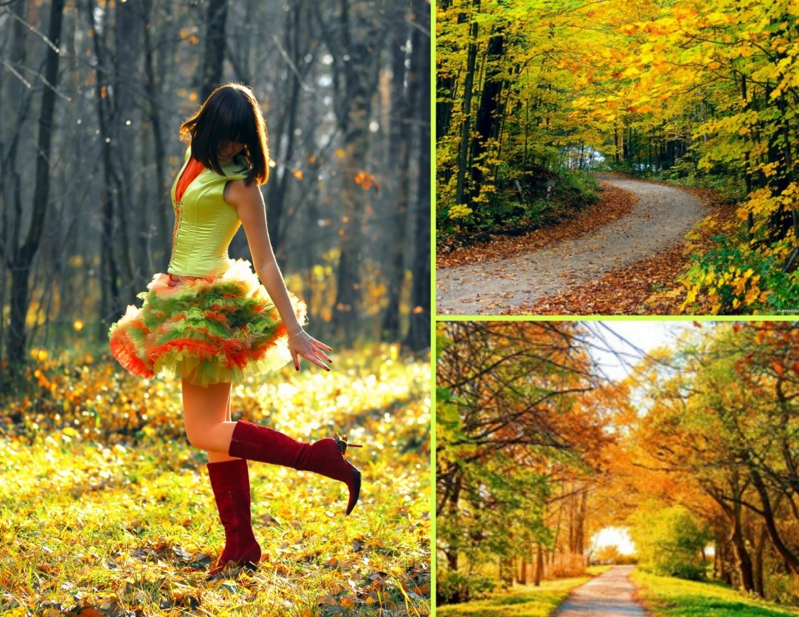 I wish you a warm autumn! - Autumn, Leaf fall, Wisdom, Happiness