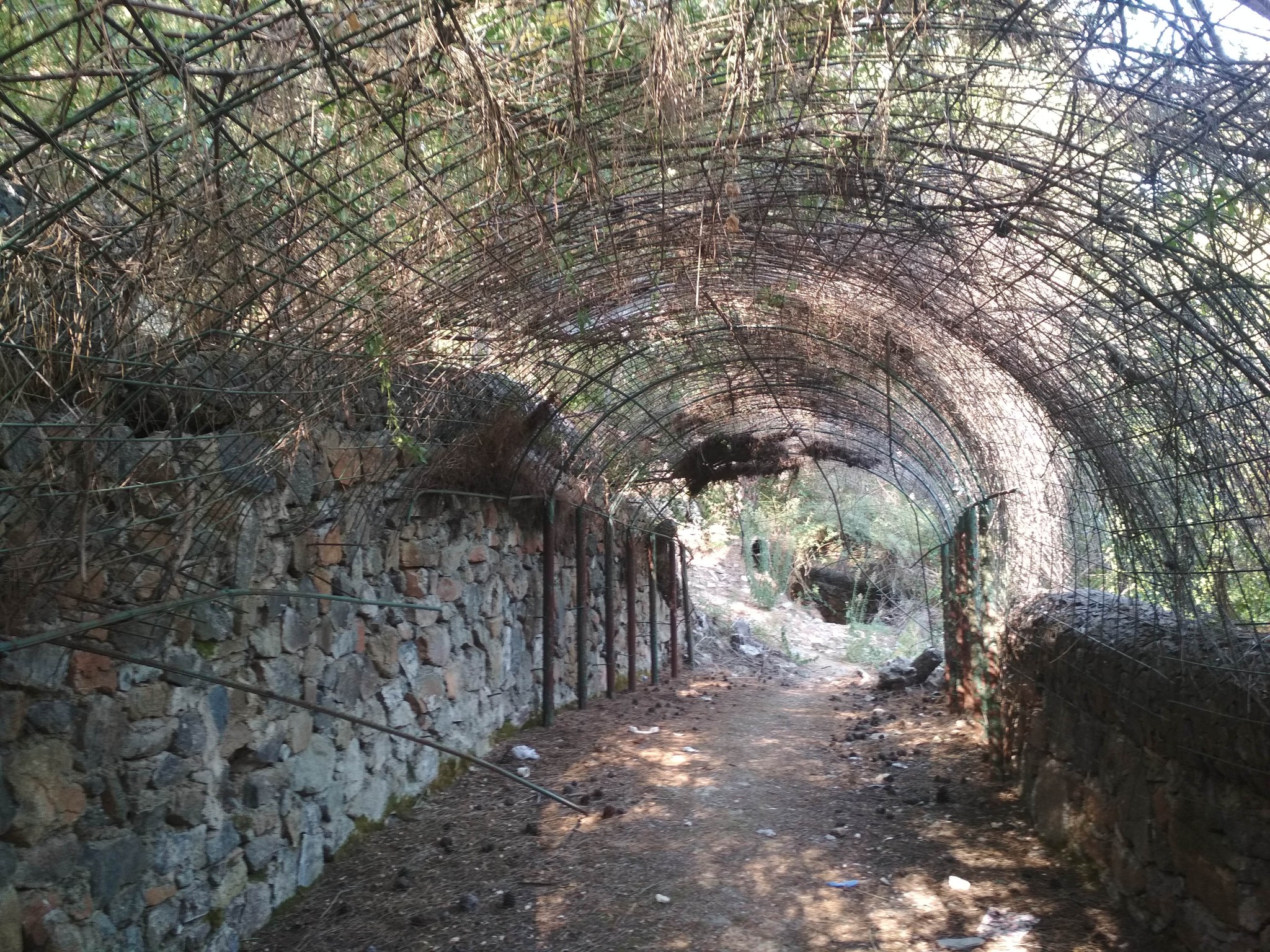 Abandoned Hotel - My, Abandoned, Longpost, Relaxation, Turkey