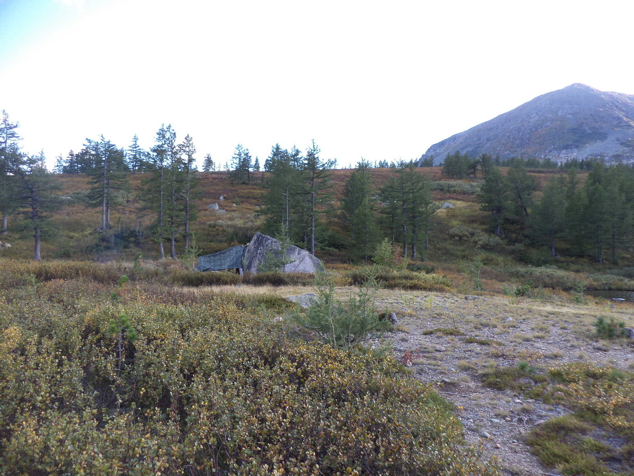 Survival in the Siberian taiga - Hike, Tourism, Fishing, Golden Valley, Kuznetsk Alatau, Video, Longpost