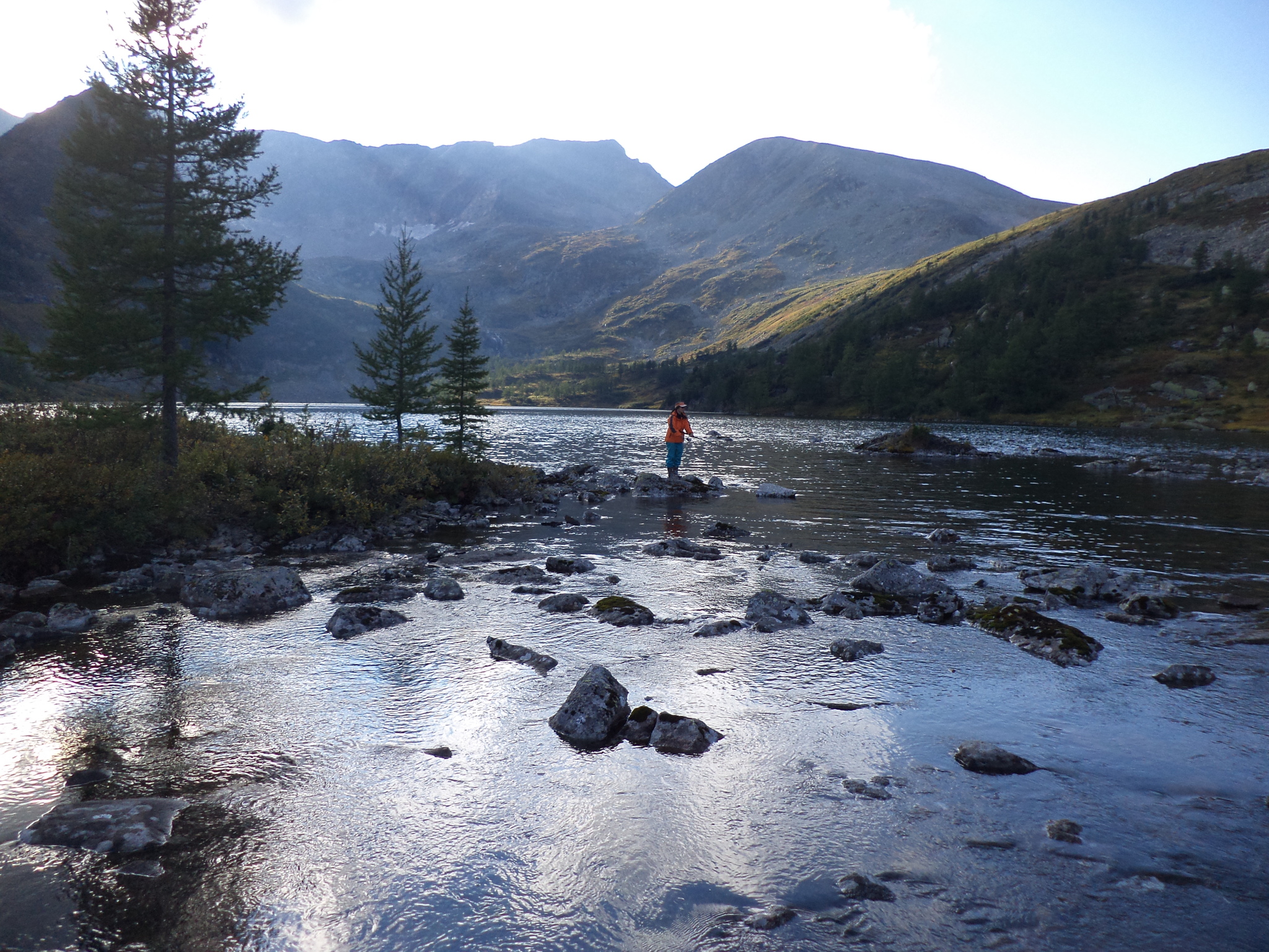 Survival in the Siberian taiga - Hike, Tourism, Fishing, Golden Valley, Kuznetsk Alatau, Video, Longpost