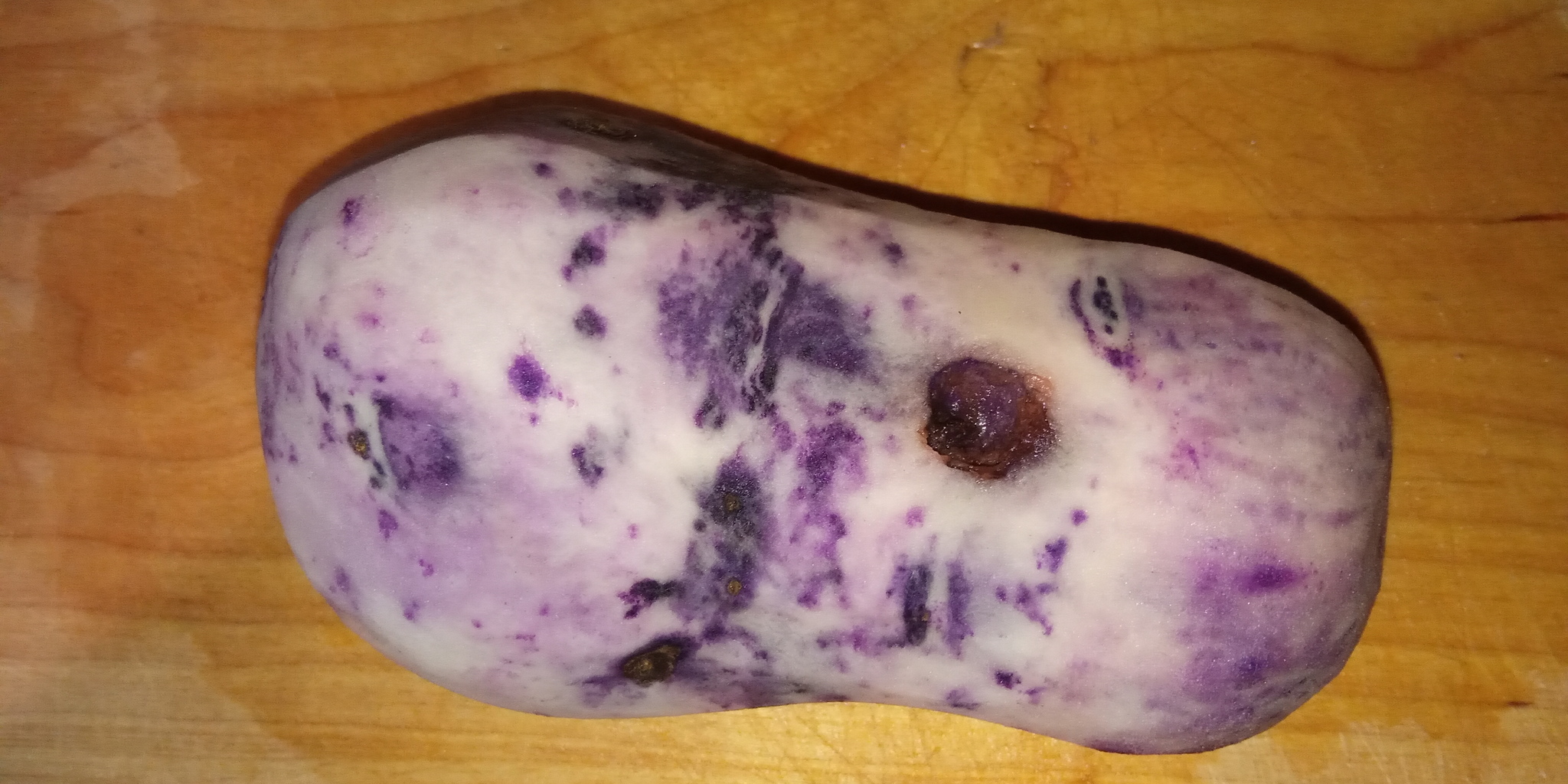 Potato - you are space) - My, Purple, beauty, Longpost