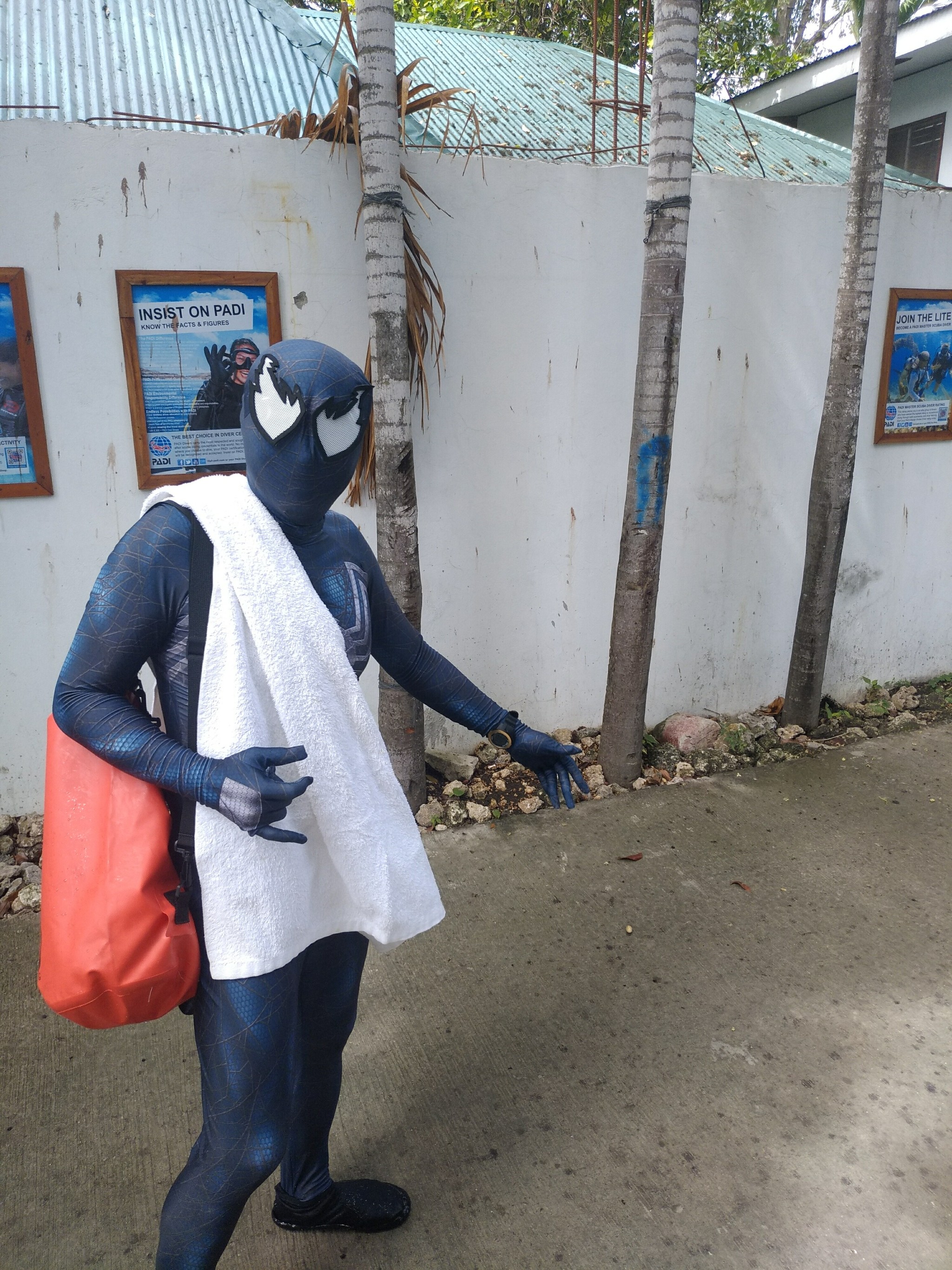 Spiderman on vacation - My, The photo, Spiderman