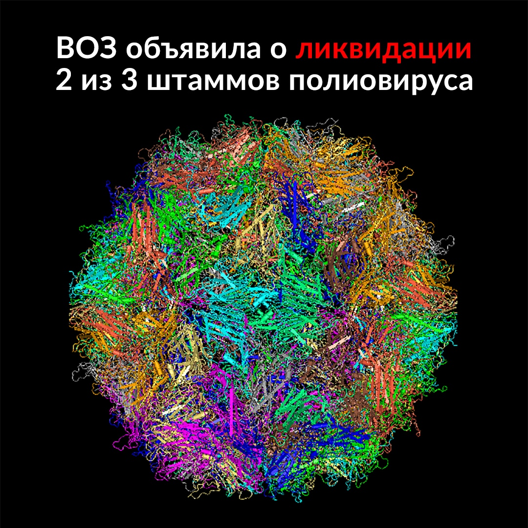 ВОЗ объявила о ликвидации 2 из 3 штаммов полиовируса - Моё, Видео, Длиннопост, Вирус, Медицина