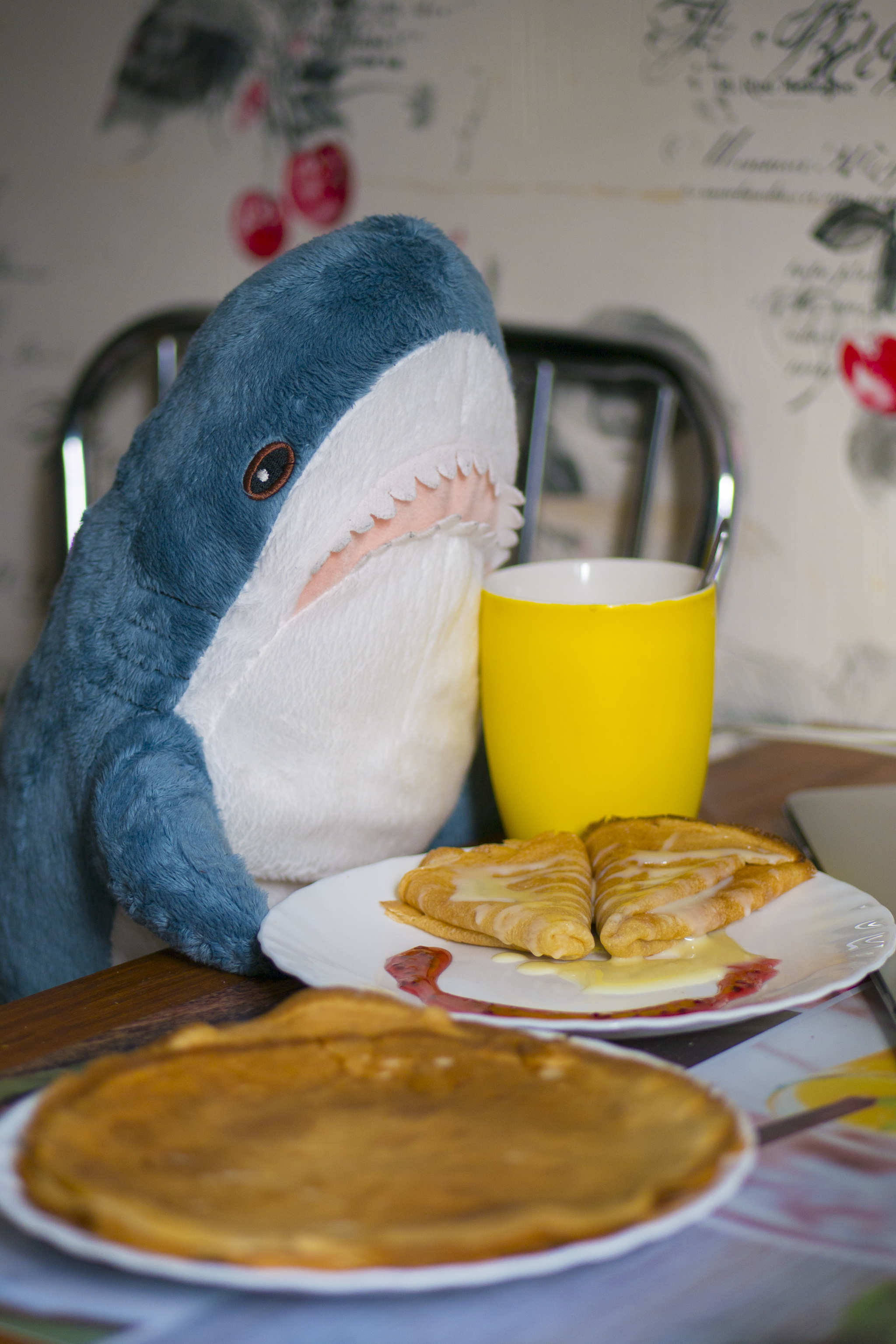 Shark Tuna - lifestyle blogger - My, Shark, Plush Toys, The photo, Autumn, Blohey, IKEA, Instagram, Video, Longpost