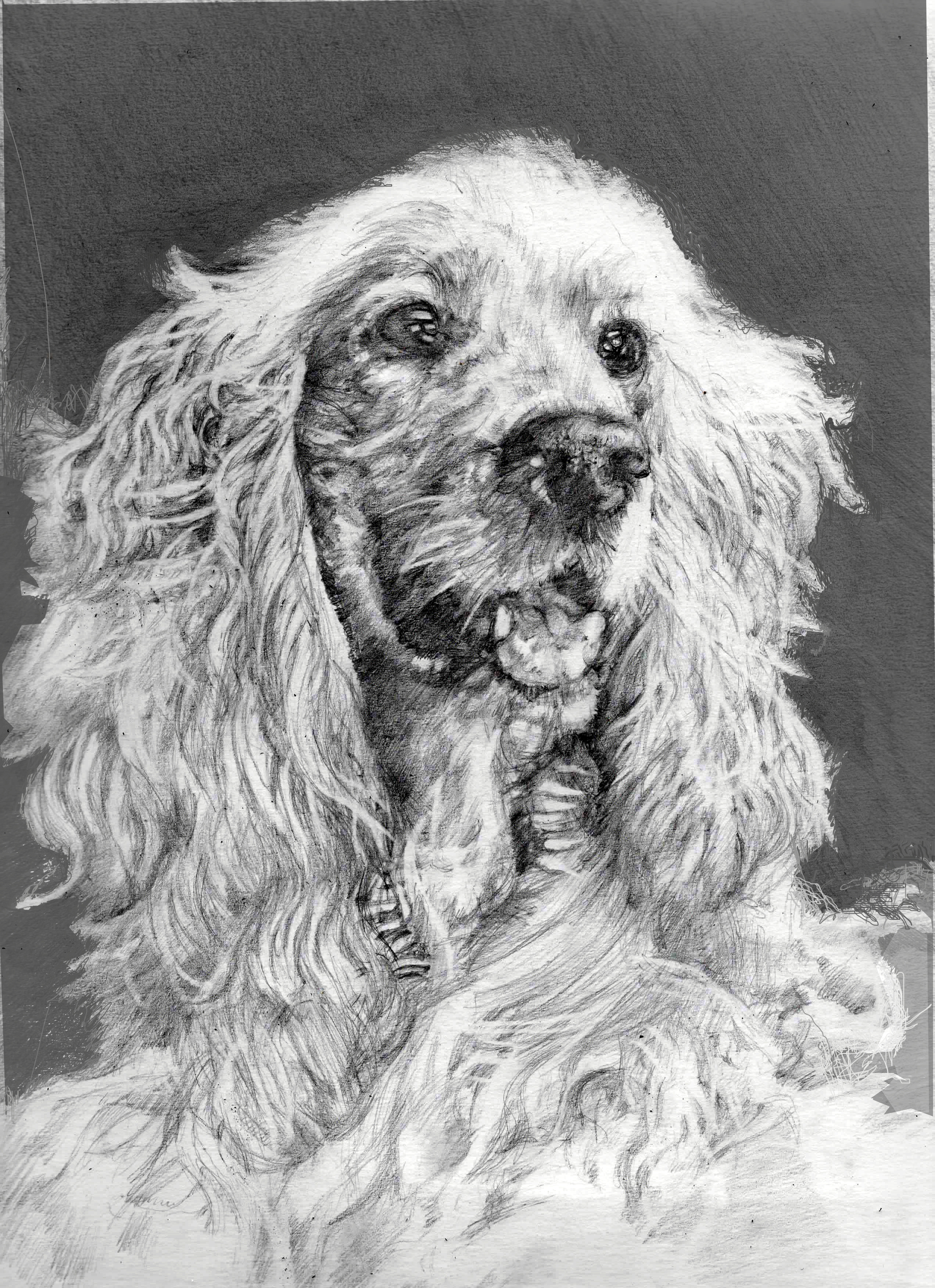 Dog - My, Dog, Simple pencil