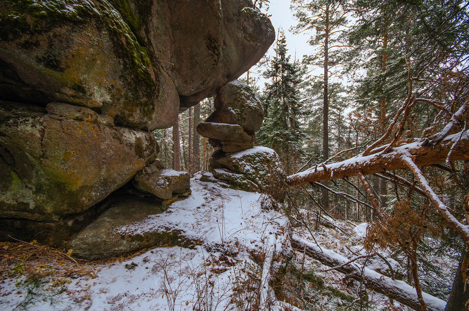 We went overnight to Stolby - My, Health, Krasnoyarsk pillars, Michael, The photo, Travels, Holidays in Russia, Leisure, Longpost