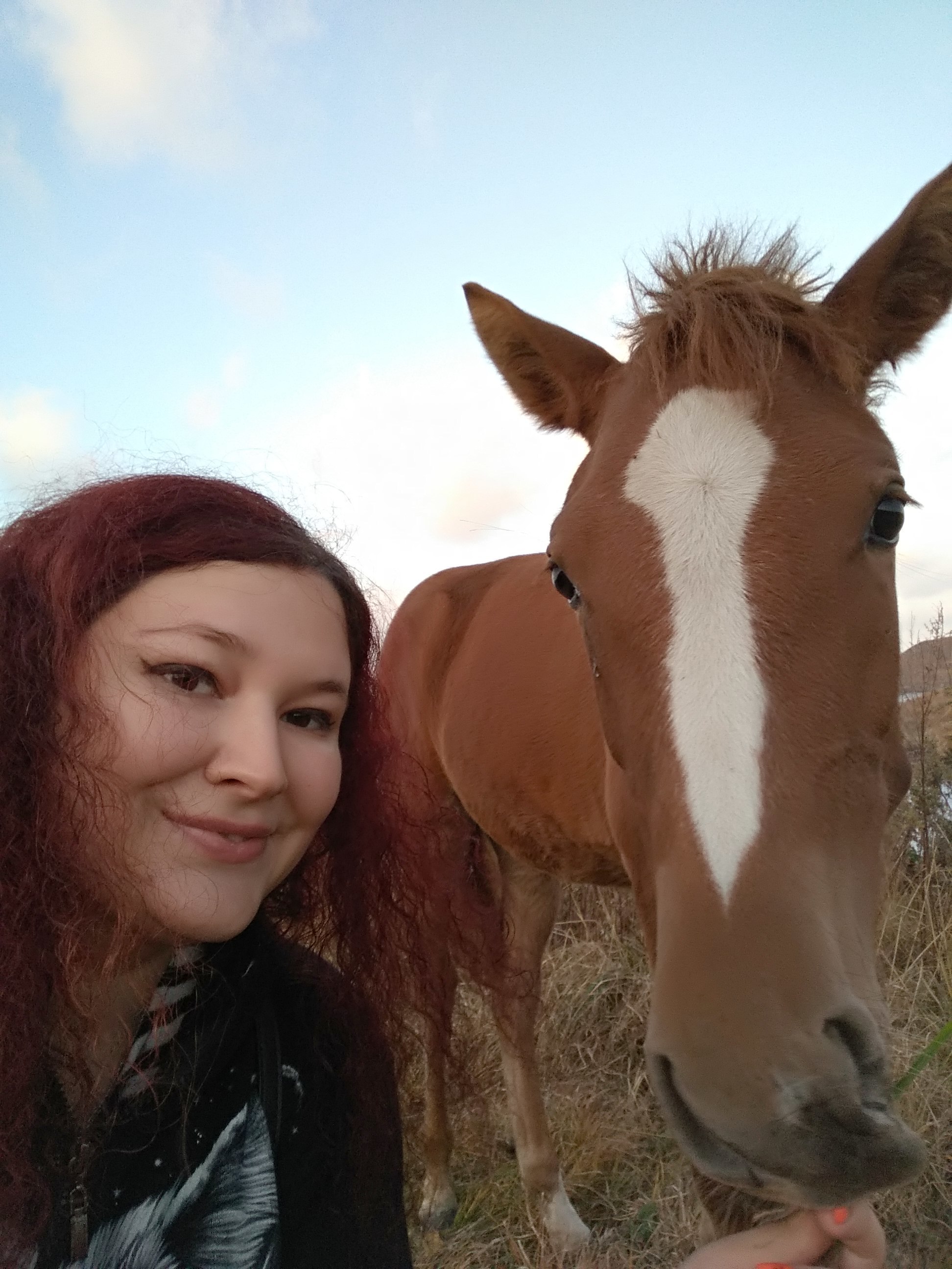 October. Sea. Horses. - My, Horses, Sea, Japanese Sea, Khasan district, Primorsky Krai, The rocks, Selfie, Photo on sneaker, Longpost