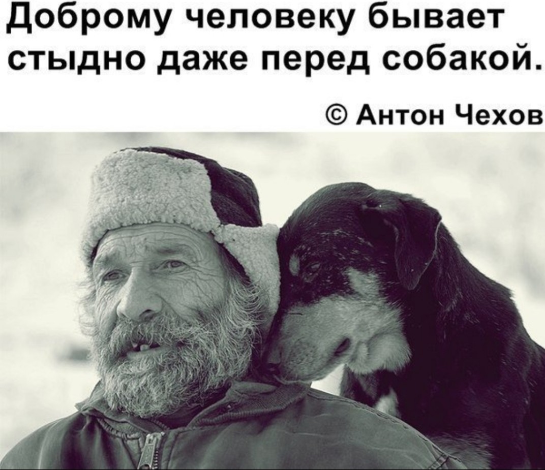 Kindness. Part 2 - Kindness, Quotes, Picture with text, Dog, Good people, Chekhov