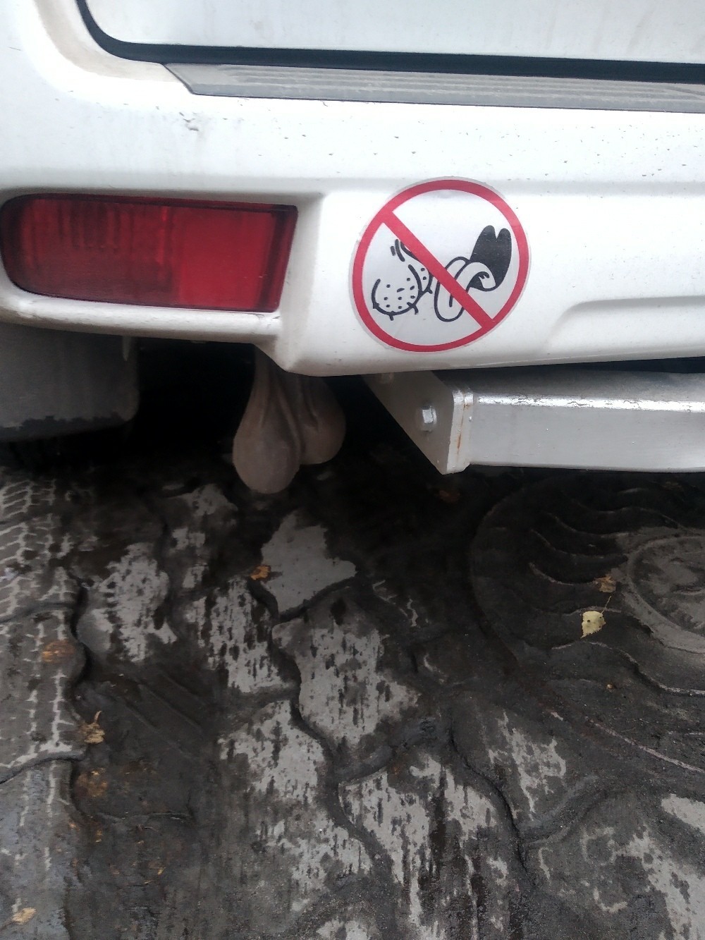 I didn't really want it - Car, Humor, Sticker