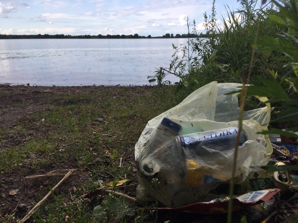 #TRASHTAG 27.0 - Kostroma, Nature, Ecology, Volga river, Pure Man's League, Garbage, Saturday clean-up, Longpost