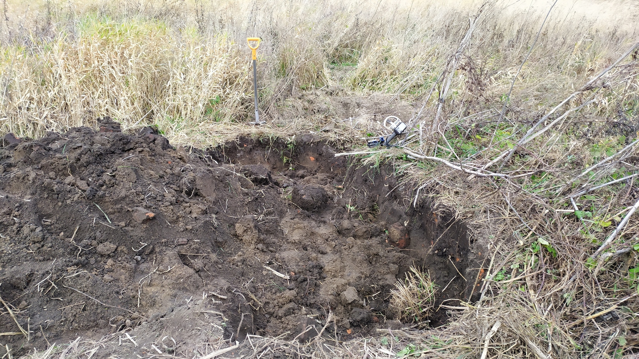 Находки с царского фундамента возле леса - Моё, Поиск, Клад, Монета, Металлоискатель, Видео, Длиннопост