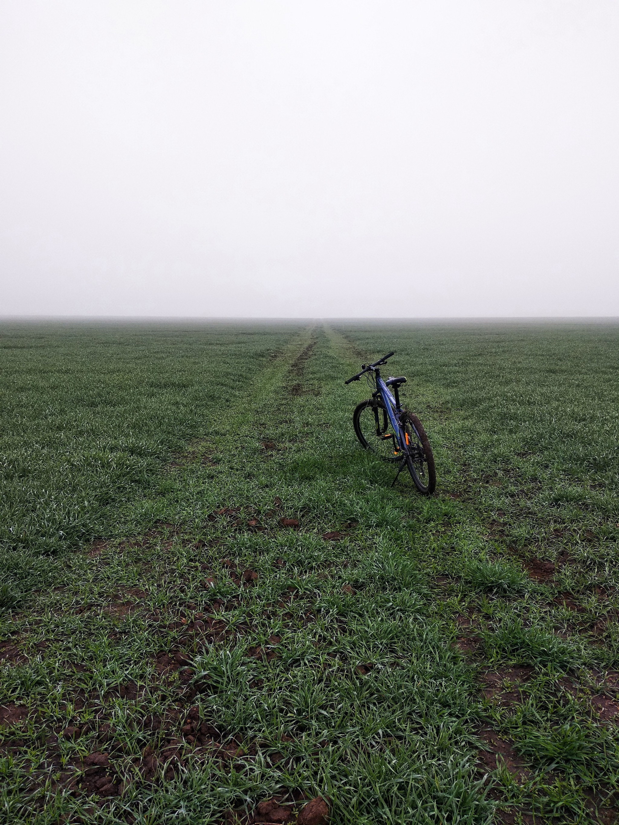 Foggy minimalism - My, A bike, Field, The photo, Minimalism, Fog, Longpost