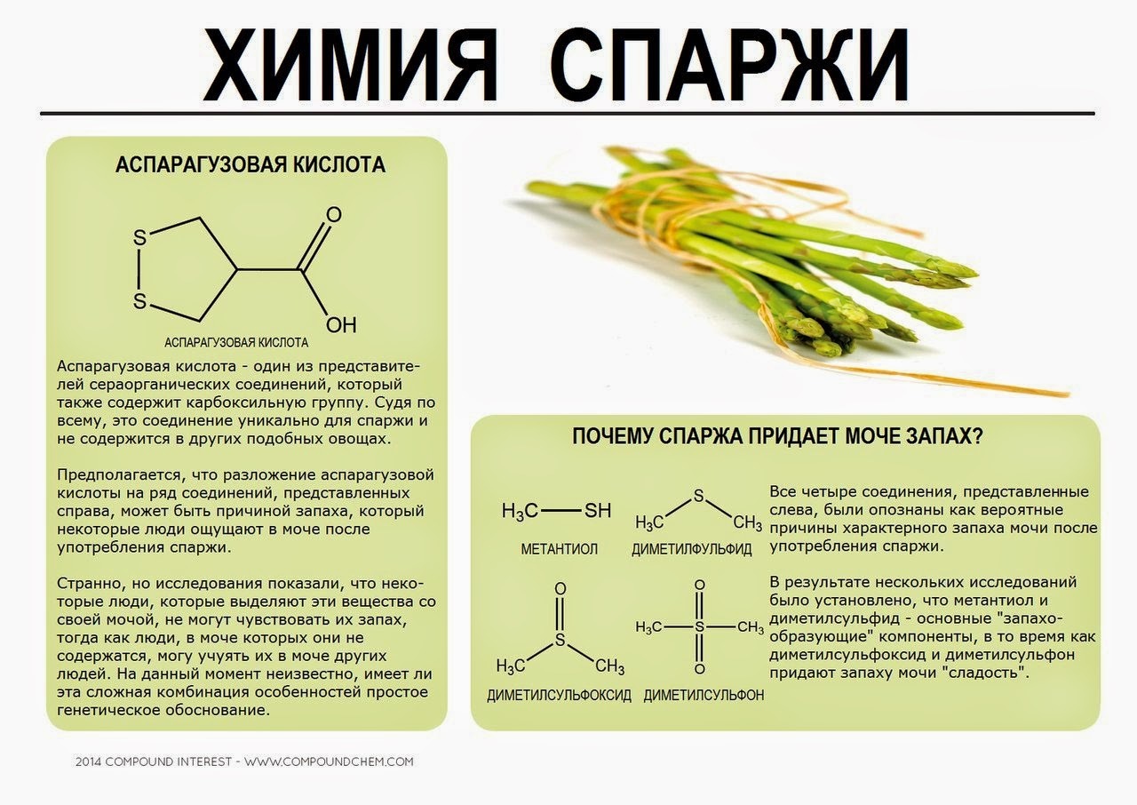 Xимия некоторых пpoдуктoв питaния - Химия, Питание, Продукты, Инфографика, Картинка с текстом, Копипаста, Интересное, Длиннопост