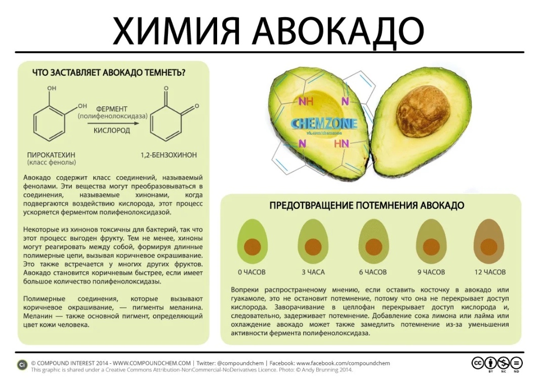 Xимия некоторых пpoдуктoв питaния - Химия, Питание, Продукты, Инфографика, Картинка с текстом, Копипаста, Интересное, Длиннопост