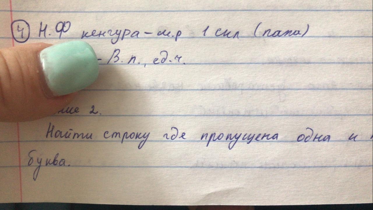 Kangaroo, his brothers Marab, Hummingbird and their sister Flaminga - School, Combating illiteracy, Teacher, Education, Russian language, Grammar Nazi, Stupidity