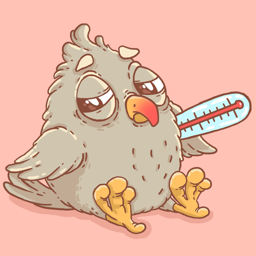 Mr. Bird (stickers beginning) - My, Beaver draws, Telegram stickers, Stickers, Birds, Digital drawing, Longpost