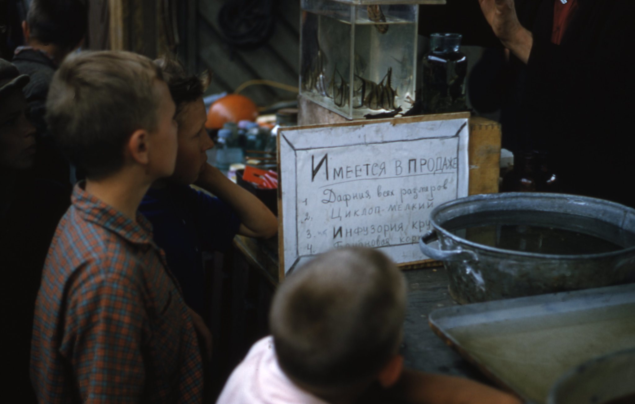 USSR 1957 - the USSR, Children, Moscow, Kremlin, VDNKh, The photo, Longpost