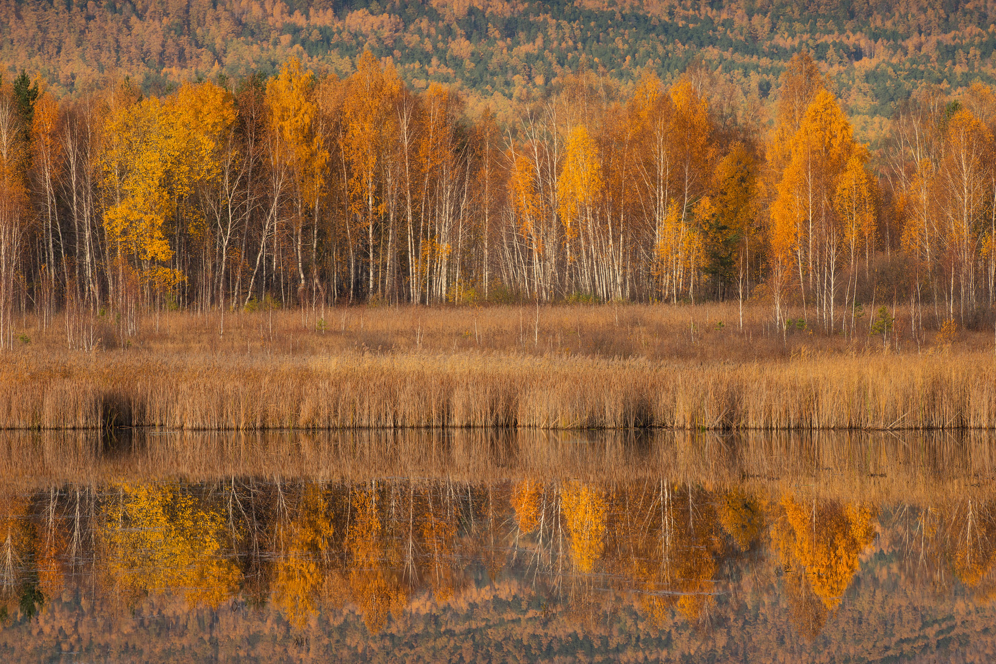 Autumn road - Autumn, Road, The photo, Chelyabinsk region, Foliage, Longpost