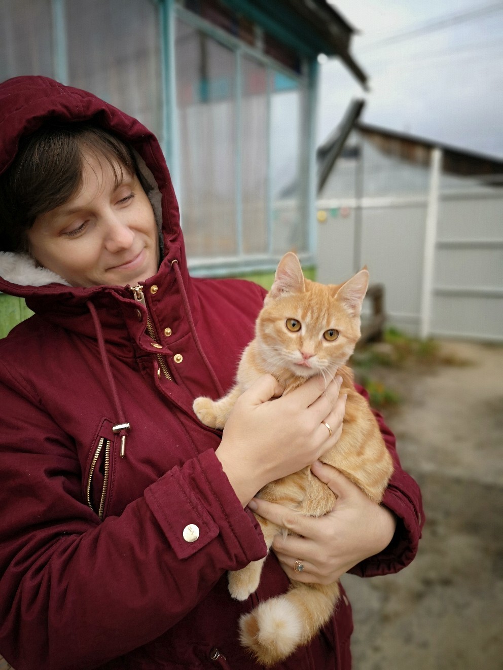 Life at the Kotoland home shelter 204 - My, cat, Shelter, Kindness, Lipetsk, Help, Shelter Cotoland, Longpost, In good hands, No rating