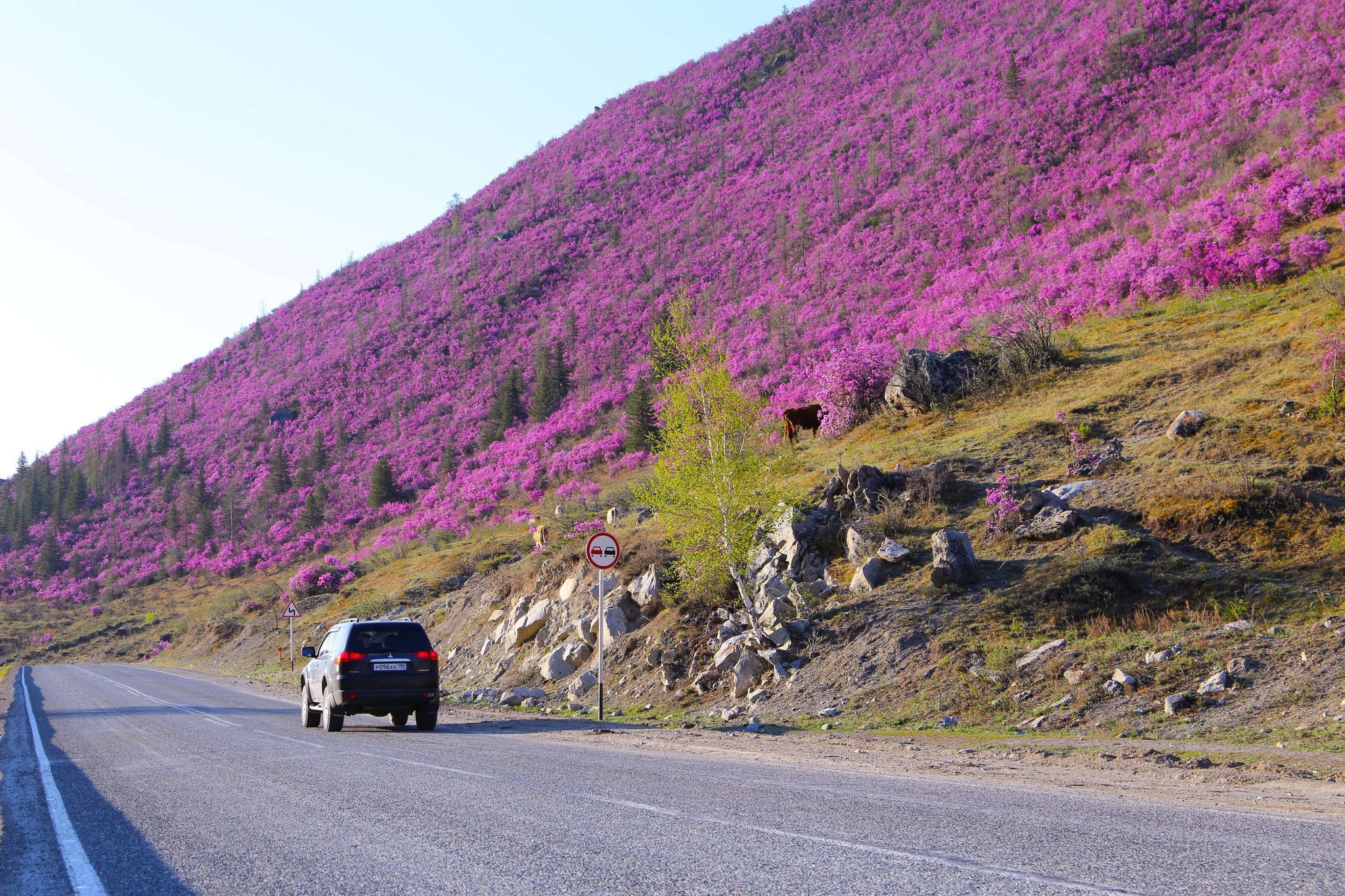 Beautiful Russian roads - Russian roads, Road, Russia, A selection, beauty, Longpost