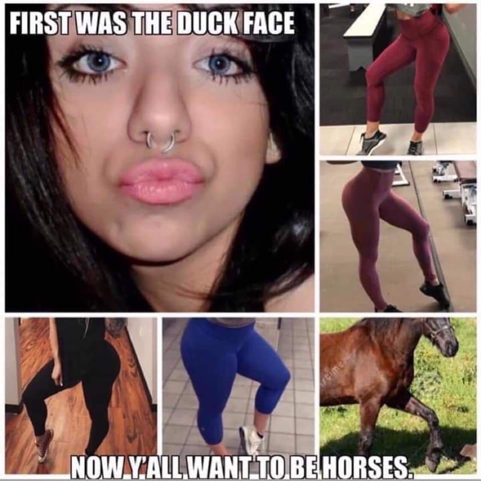 Current fashion - Duck, Horses, The photo, Girls, Duckface, Legs, Posing