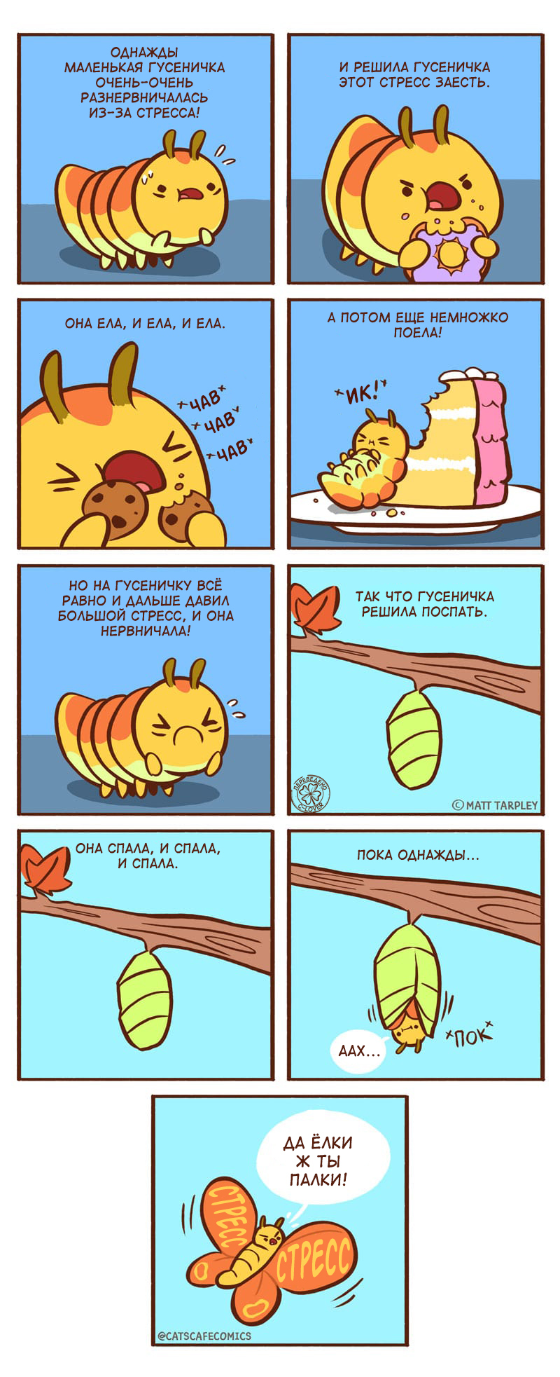 A very, very nervous caterpillar. - Cats Cafe, Matt tarpley, Comics, Translated by myself, Translation, Caterpillar, Longpost, Stress