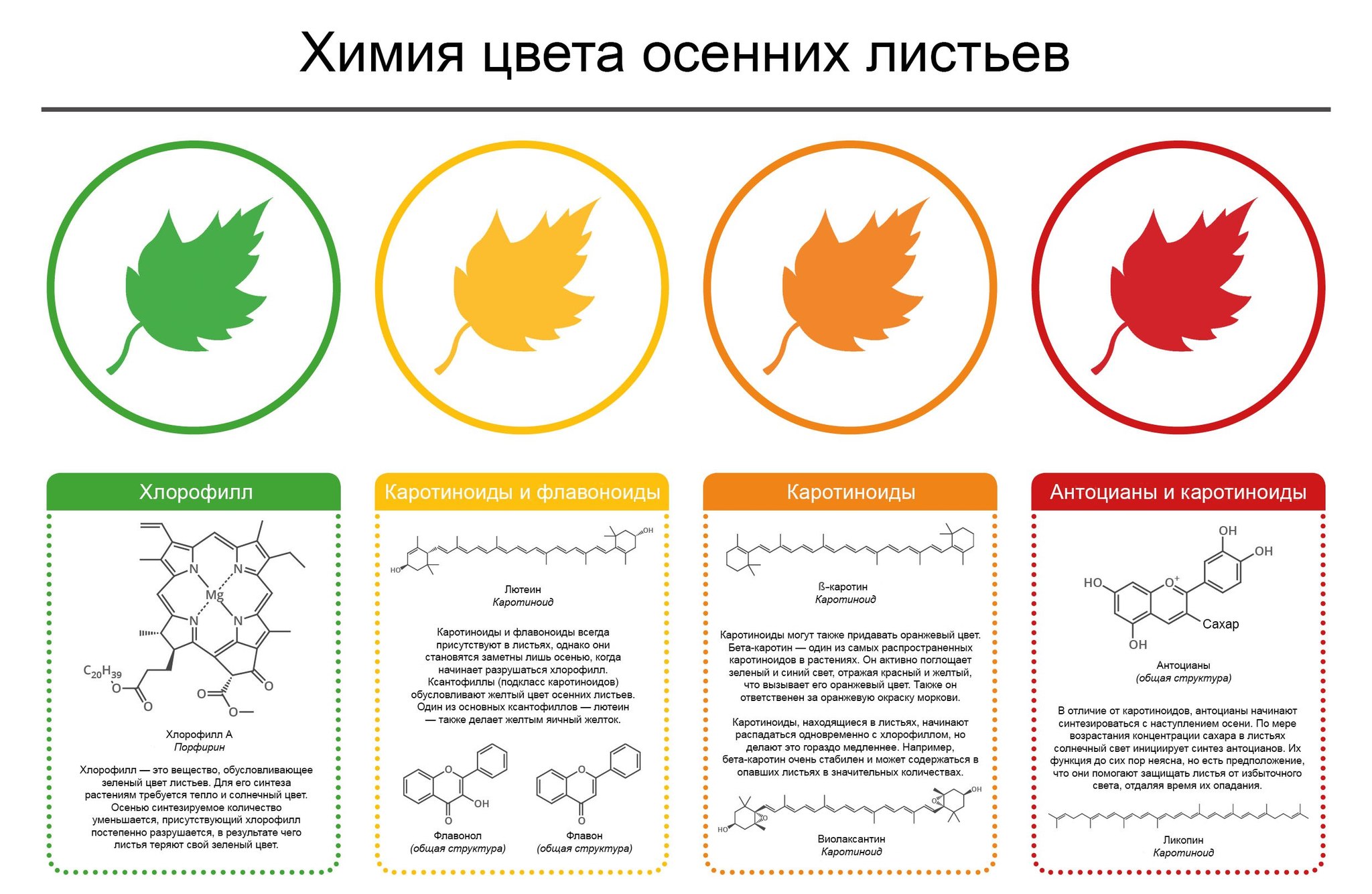 Ещё немного инфографики по химии - Химия, Инфографика, Картинка с текстом, Копипаста, Интересное, Длиннопост