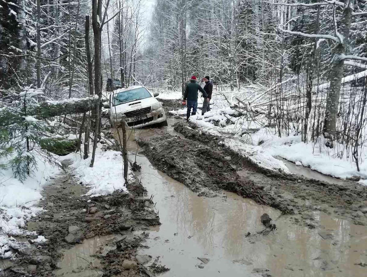 Полная Чухлома 2019: внедорожное краеведение по следам Сусанина - Моё, Redoffroad, Чухлома, Кострома, Автопутешествие, Золотое Кольцо России, Offroad, Длиннопост