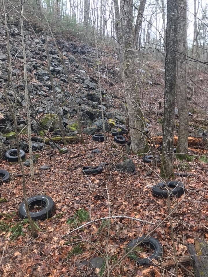 Now this place is wildly beautiful - Tires, Pollution, Longpost, Virginia