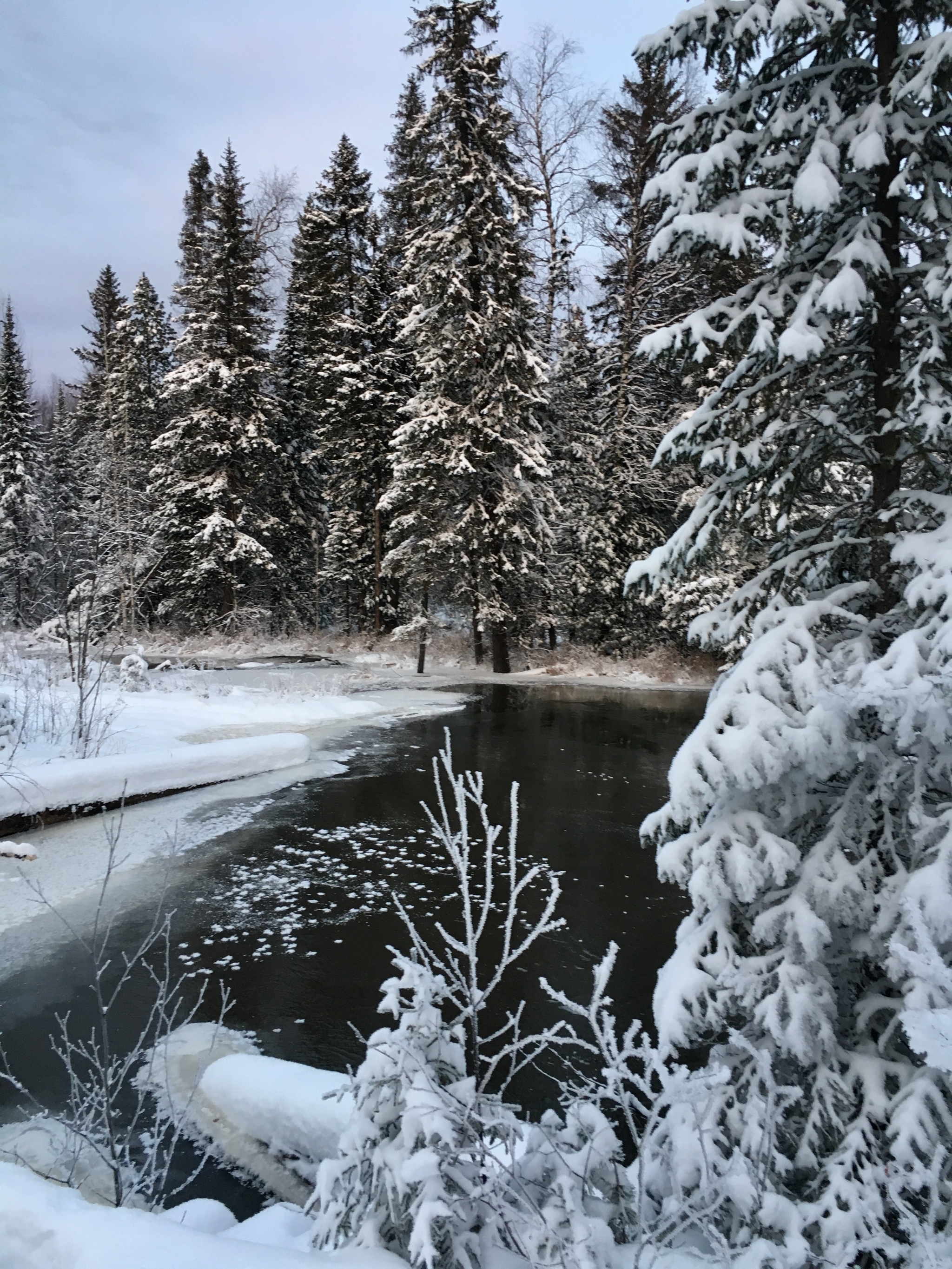 Northern Ural: off-road adventures on Konzhak - My, Konjak, Redoffroad, Offroad, Road trip, Travel across Russia, The mountains, Tourism, Longpost