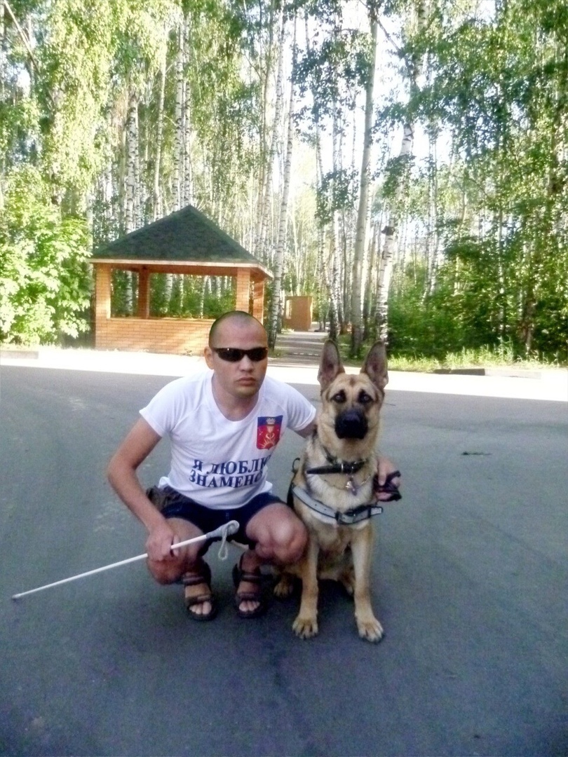 Astrakhan residents were told about the fate of a guide dog from Znamensk - My, Astrakhan, Znamensk, Dog, Dogs and people, Animals, Longpost