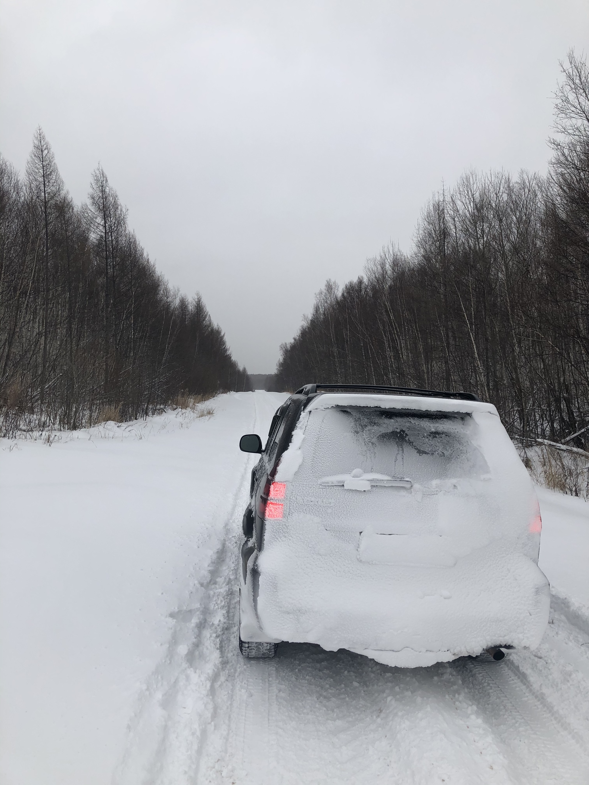 A little bit of wildlife - My, The photo, Nature, Khabarovsk region, Video, Longpost