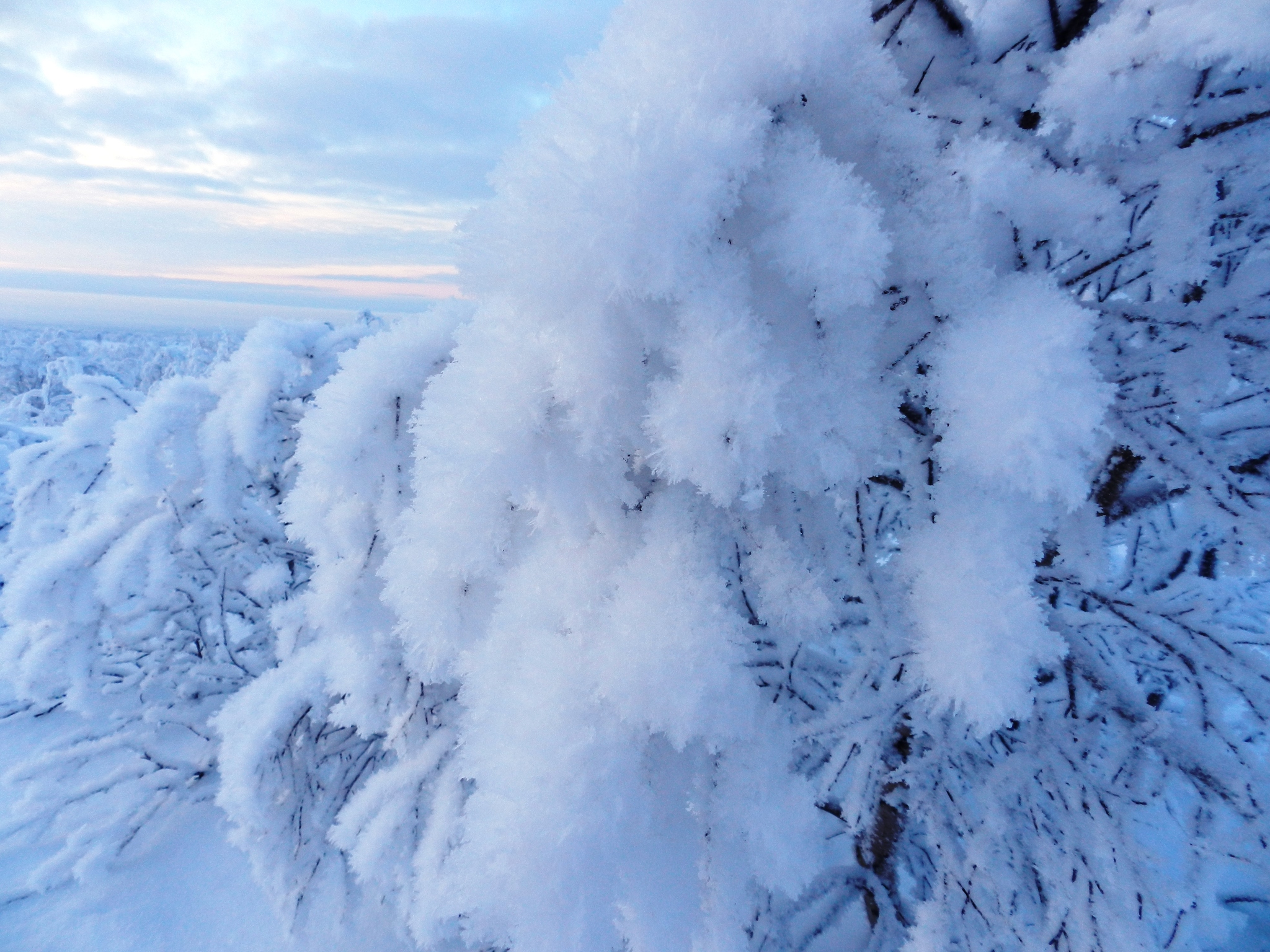 Sunday on Lisya. Duster, Lexus, Arctic Trucks, Defender, Mitsubishi, 4x4, Offroad, Murmansk - My, Renault Duster, Lexus, Murmansk, Winter, Snow, freezing, 4x4, Offroad, Video, Longpost