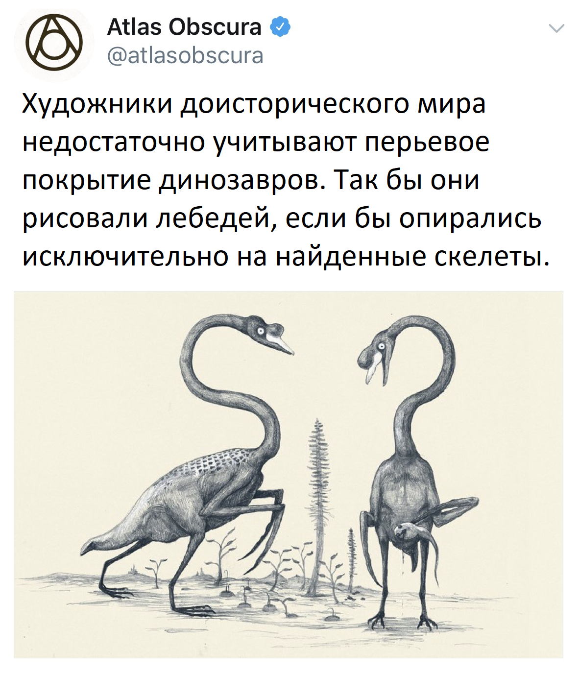 Bony swans - Swans, Dinosaurs, Feathered dinosaurs, Paleontology, Drawing, Translated by myself, Screenshot