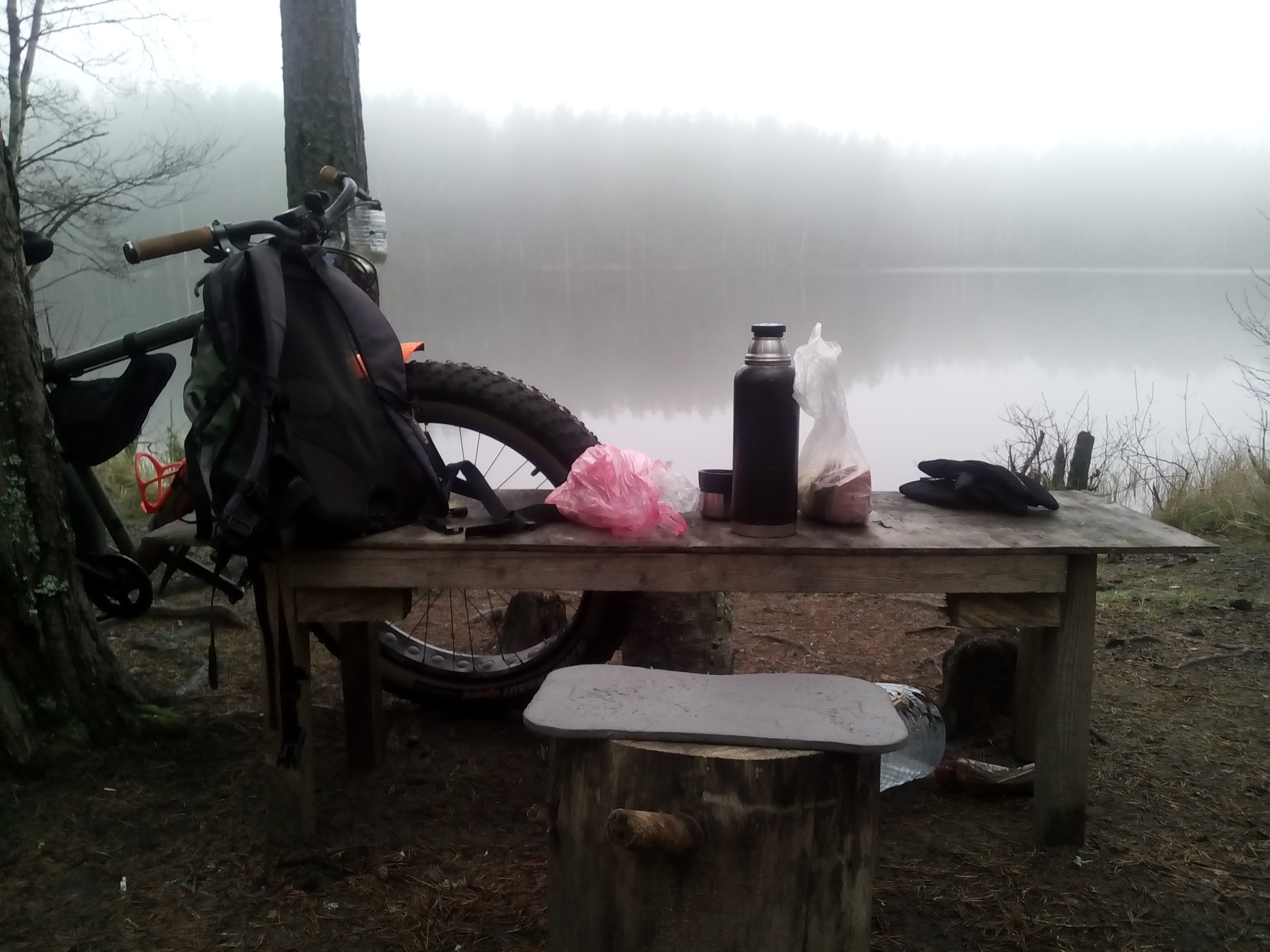 Ride hedgehog in the fog - My, A bike, Bike ride, Autumn, Karelian Isthmus, Longpost