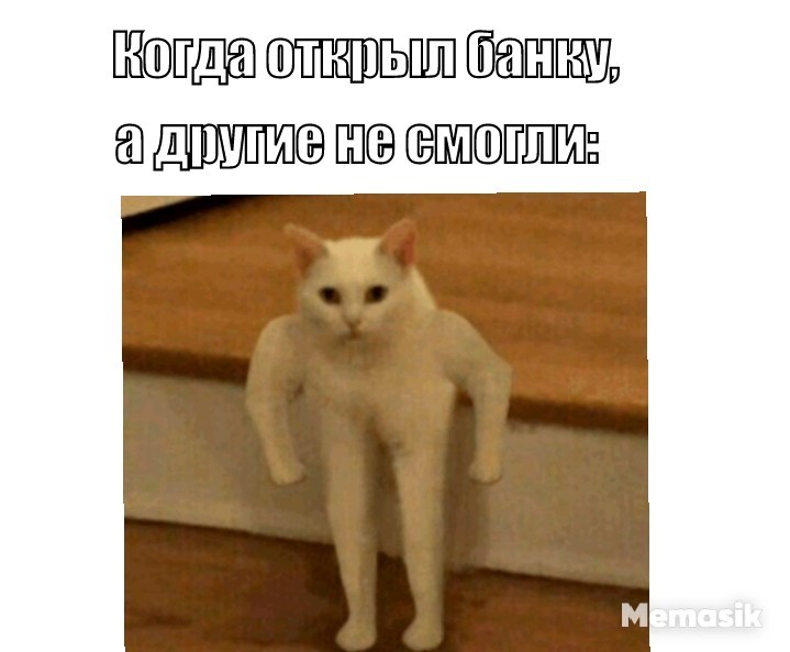 Кот силач