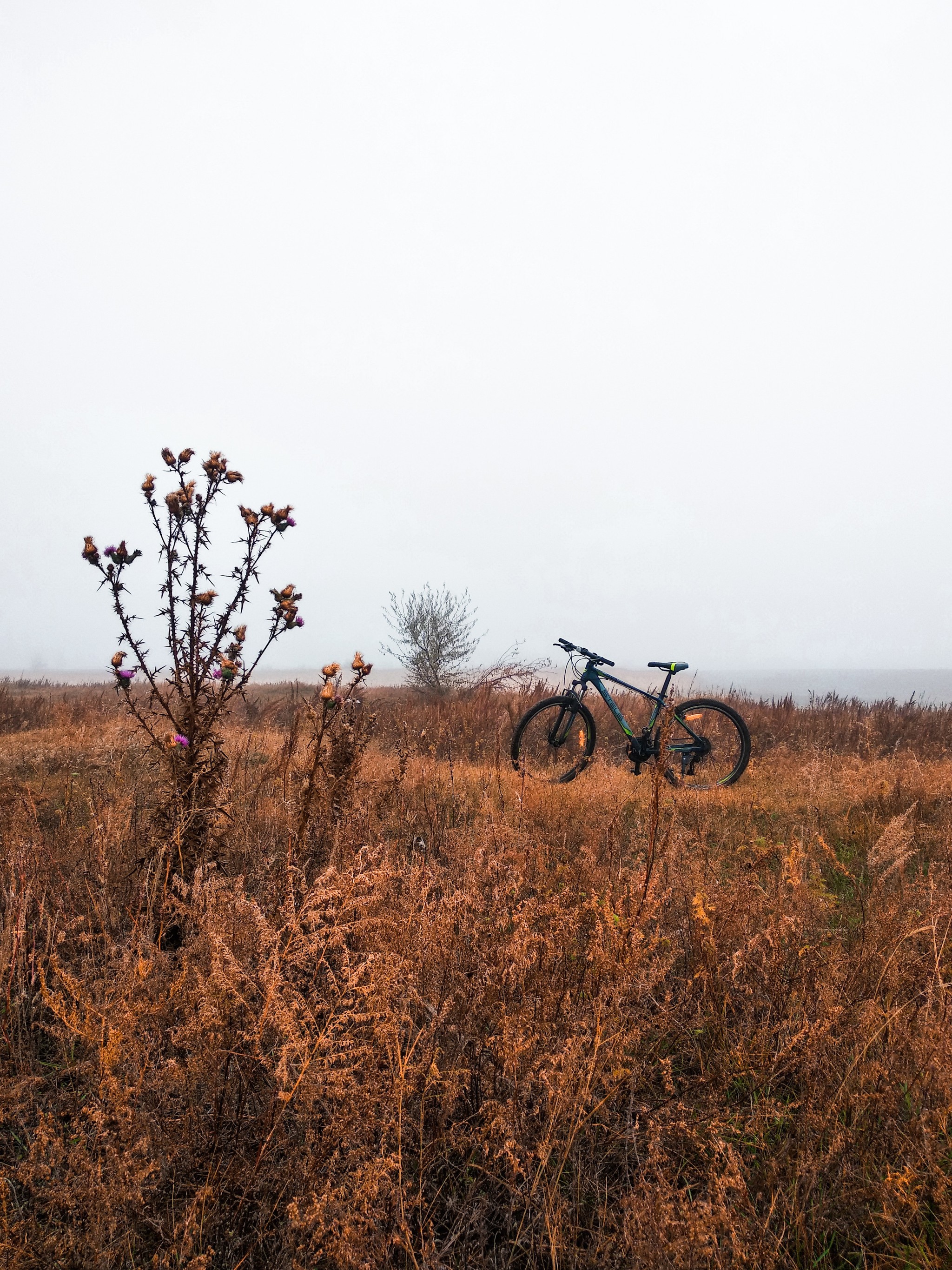 Drish flight in the steppe - My, A bike, Steppe, Fog, Nature, The photo, Longpost