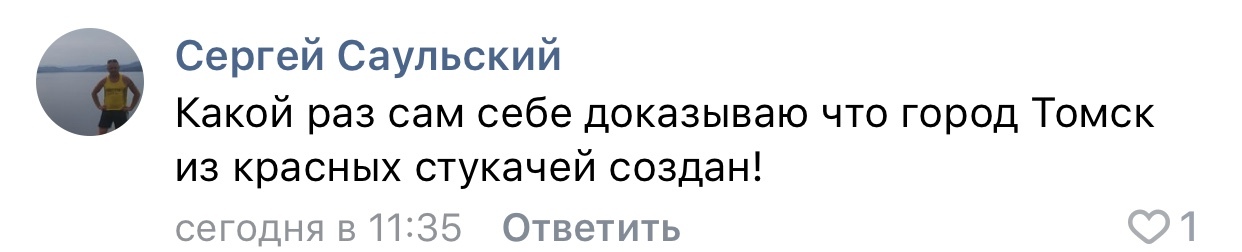 Опять про стукачей - Томск, Стукач, Гаи, Нарушитель, Длиннопост, Скриншот