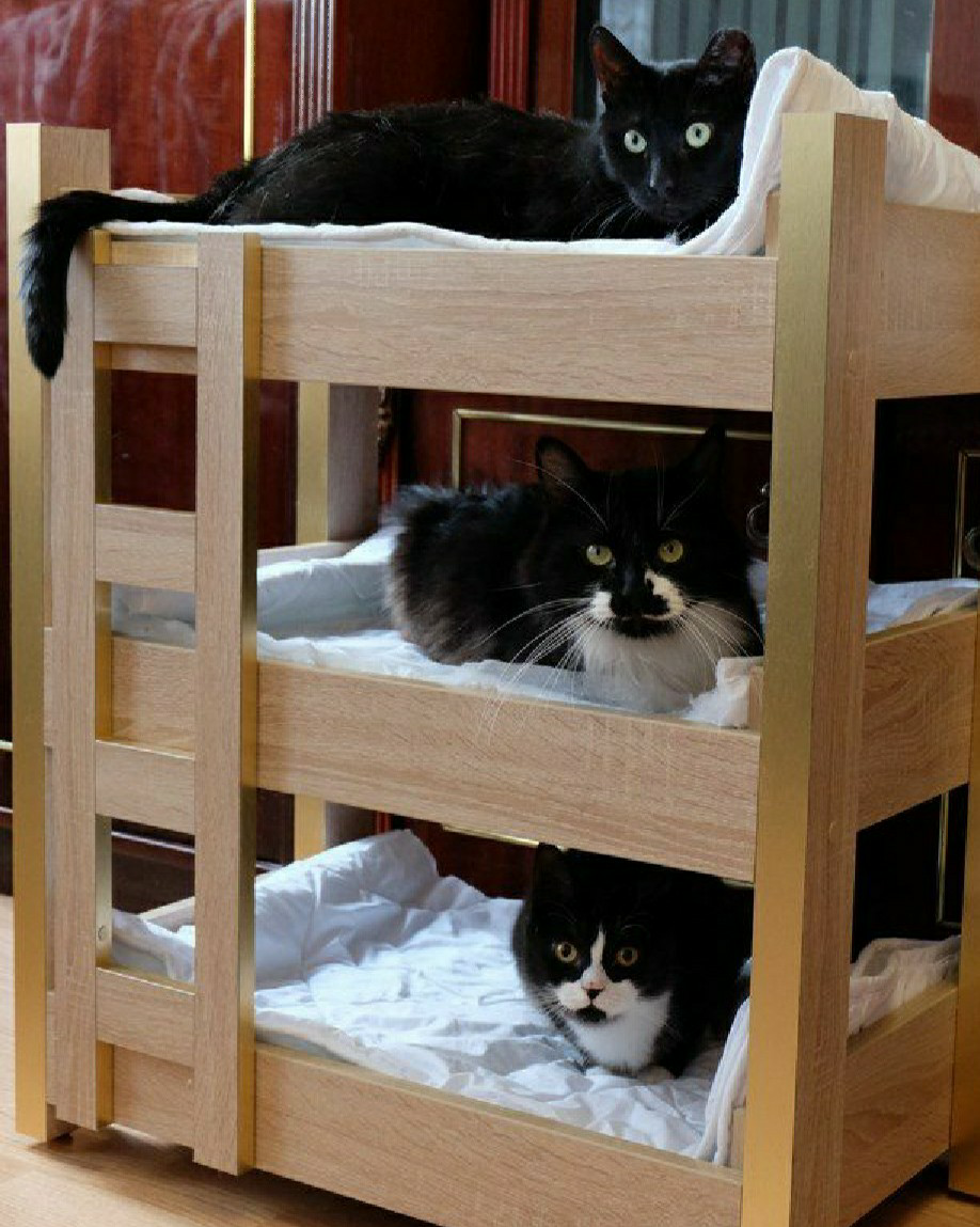 Кровать для кошки