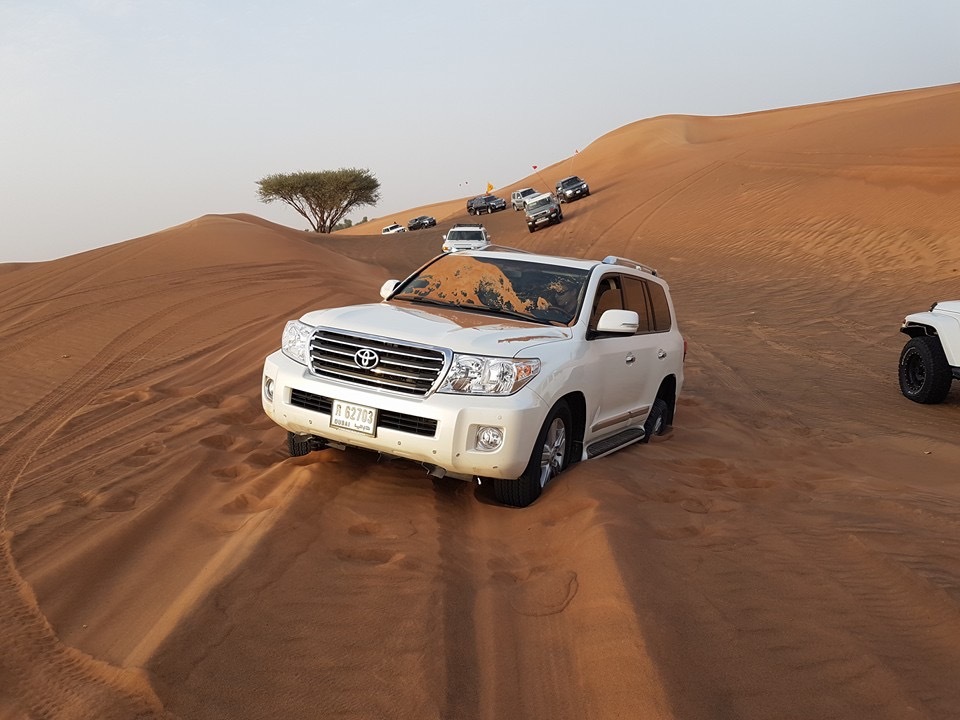 Arabian Adventures, Land Cruiser 200 - My, Desert, Toyota Land Cruiser, Auto Club, UAE, Longpost