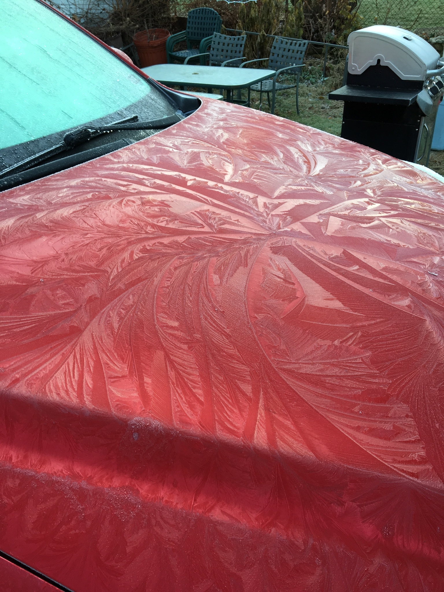 Morning patterns - The photo, Auto, Hood, Rime