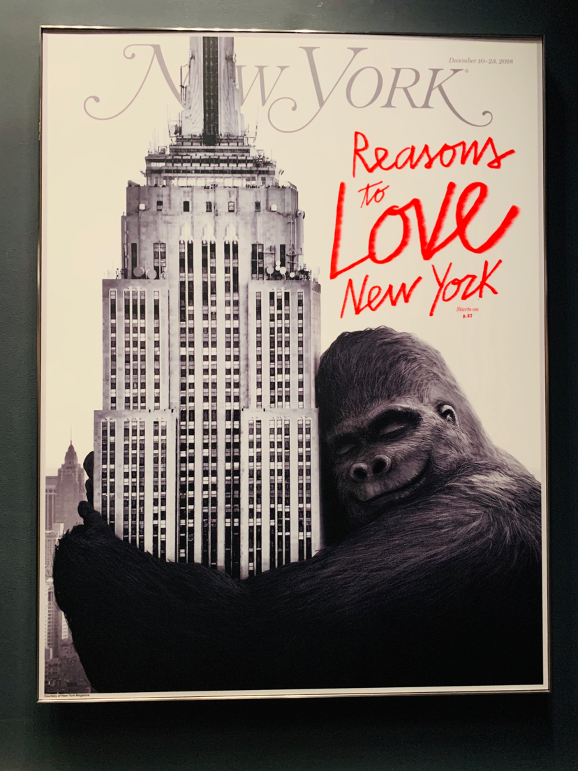 Installation with King Kong. New York. - New York, King Kong, Empire State Building, Video, Longpost