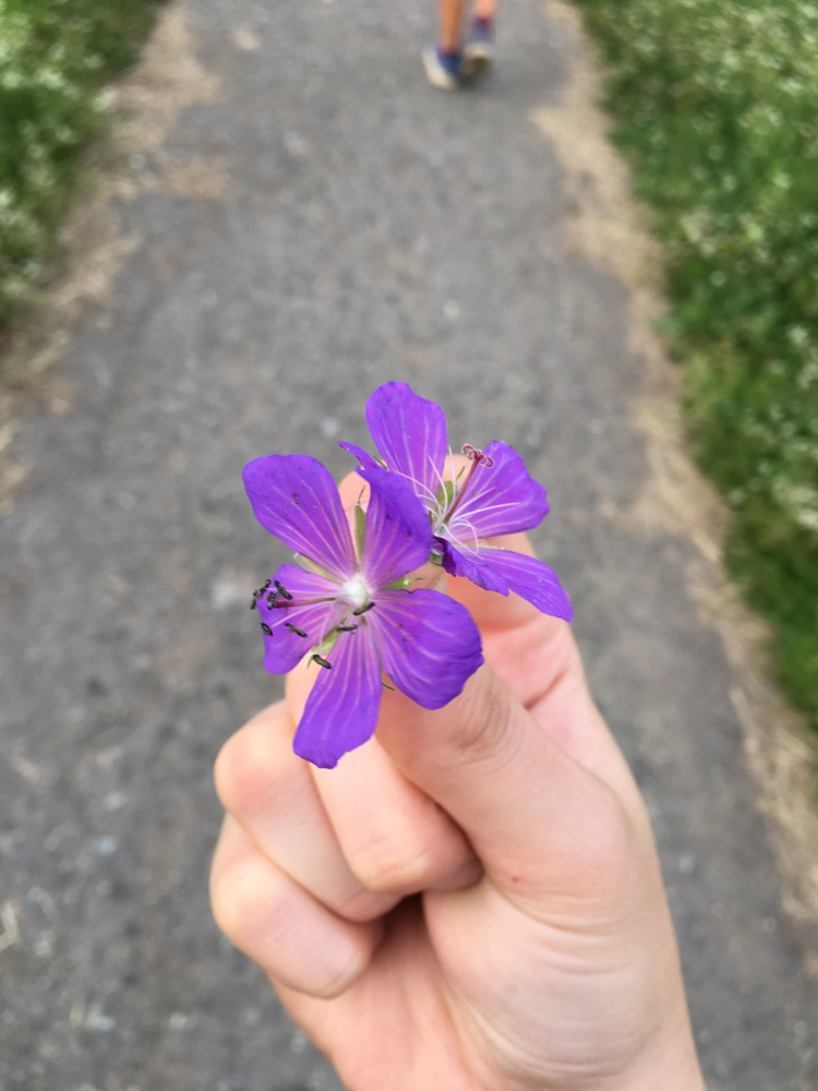 Годный совет:) - Подарки, Нужен совет, Новый Год