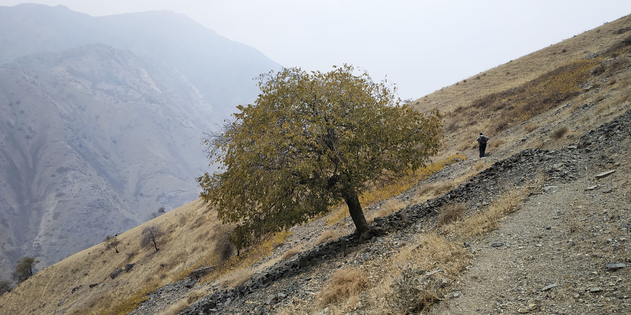 No geometry) - My, Nature, Autumn, Longpost, Tajikistan, The mountains