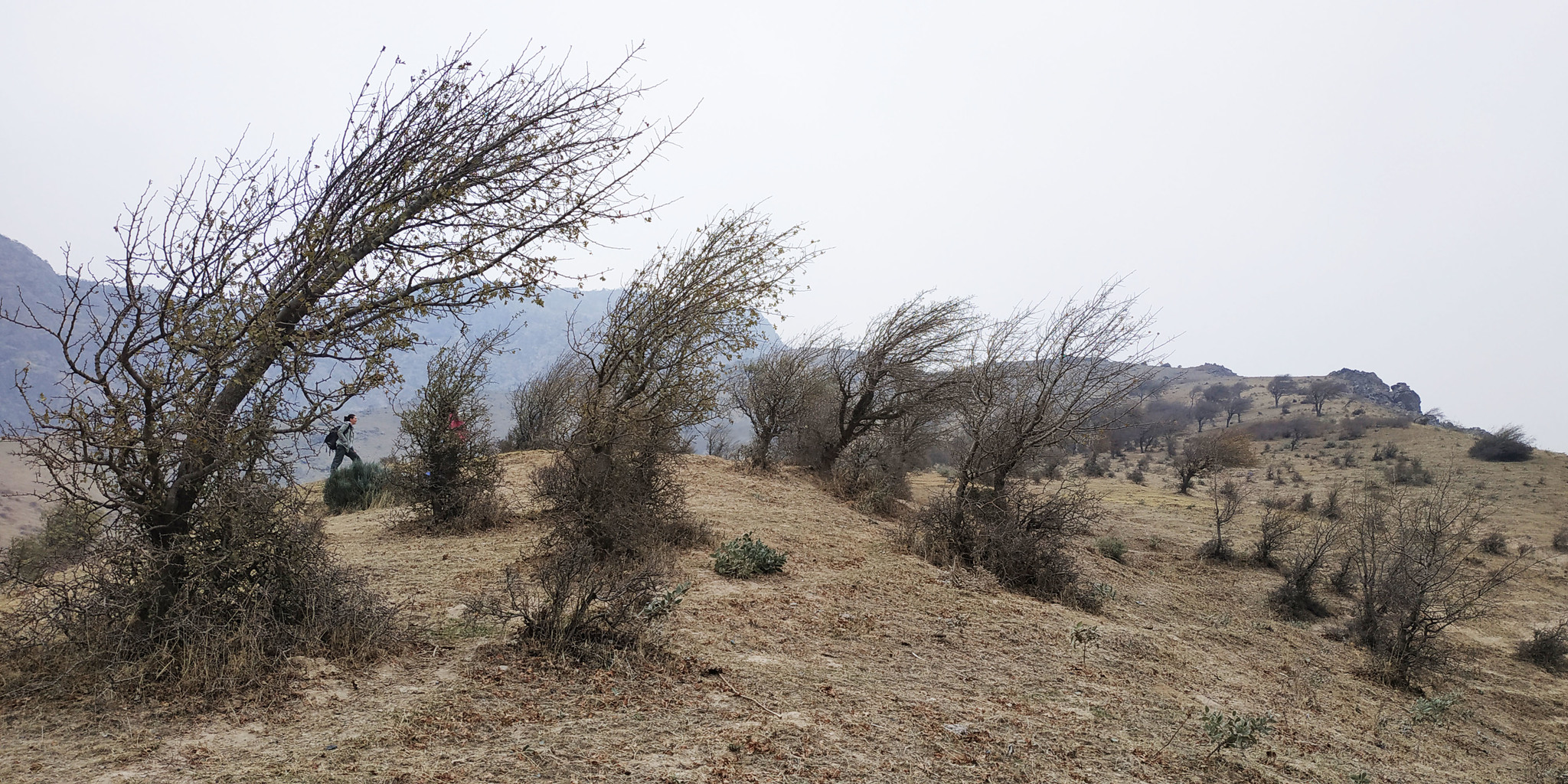 No geometry) - My, Nature, Autumn, Longpost, Tajikistan, The mountains